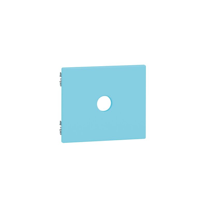 Feria door, light blue