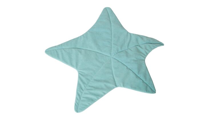 Starfish Mat - 4641448.jpg